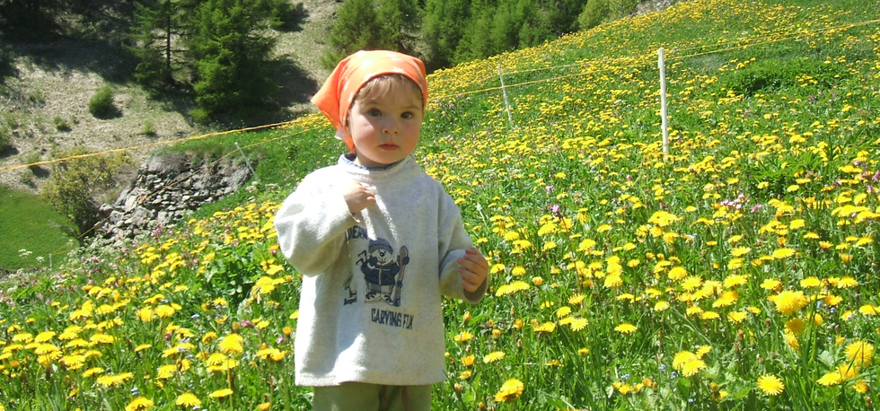 © 2024 Urlaub auf dem Bauernhof - Pichlhof