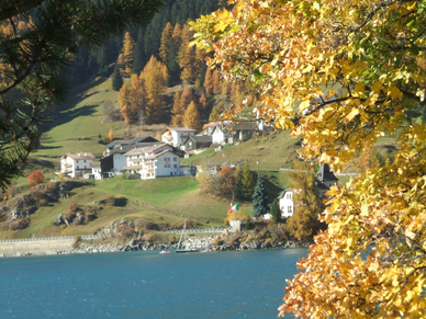 © 2024 Urlaub auf dem Bauernhof - Pichlhof