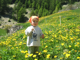 © 2024 Urlaub auf dem Bauernhof - Pichlhof