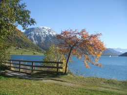 © 2024 Urlaub auf dem Bauernhof - Pichlhof