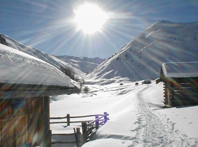 © 2024 Urlaub auf dem Bauernhof - Pichlhof