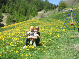 Steffi und Miri in der blühenden Wiese hinter dem Haus