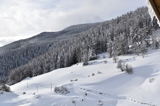 Winterpanorama